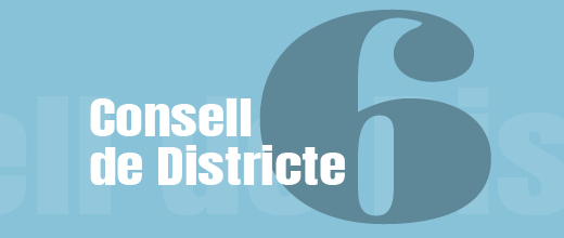 Imatge pels mitjans: Consell de Districte VI 
