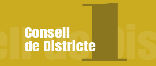 Imatge pels mitjans: Consell de Districte I