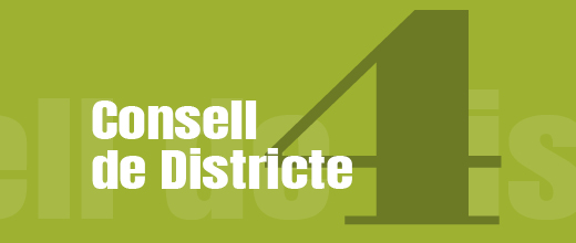 Imatge pels mitjans: Consell de Districte IV