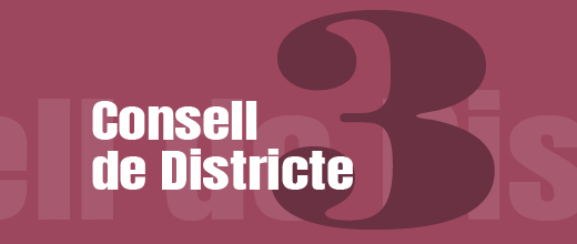 Imatge pels mitjans: Consell de Districte III